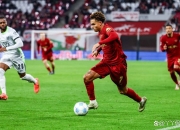 开云体育官网-沃尔夫斯堡遭遇争议判罚，主场失利的简单介绍