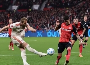 开云平台-欧洲各国足球队火拼，场上惊险对决！的简单介绍