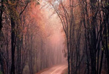 开云体育app-泰国羽毛球队血洗法国，林丹历史性突破震撼全场