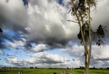 开云体育官方网站-TES碾压TeamWE，Bin一己之力扛起全队：电竞巅峰背后的坚韧与荣耀