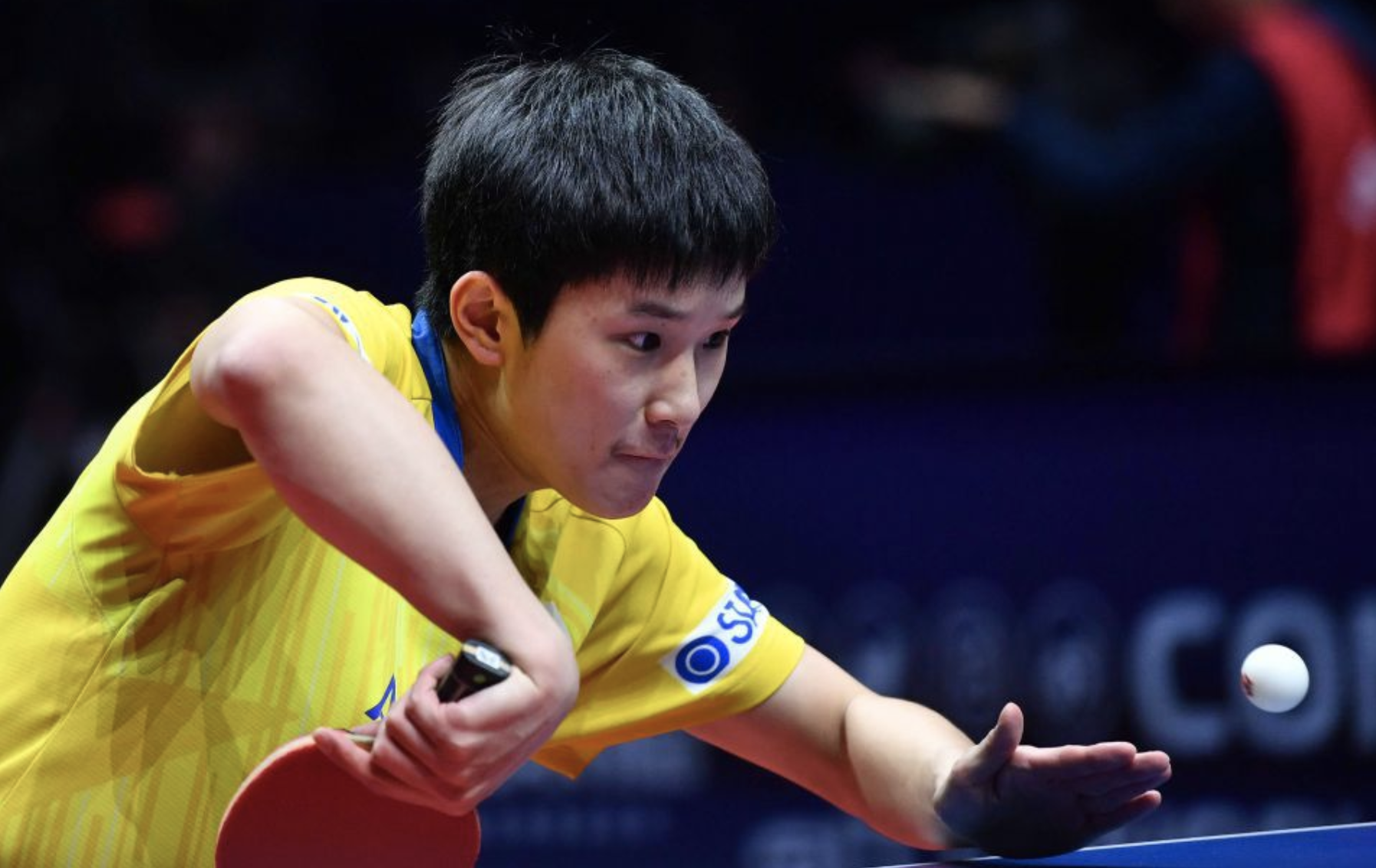 日本乒乓球队逆转瑞典乒乓球队,水谷隼惊艳世界的简单介绍 日本乒乓球队逆转瑞典乒乓球队,水谷隼惊艳世界的简单介绍