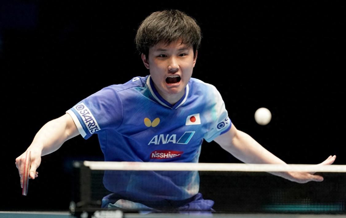 包含德国乒乓球队绝地反击法国乒乓球队,张本智和惊艳世界的词条 包含德国乒乓球队绝地反击法国乒乓球队,张本智和惊艳世界的词条